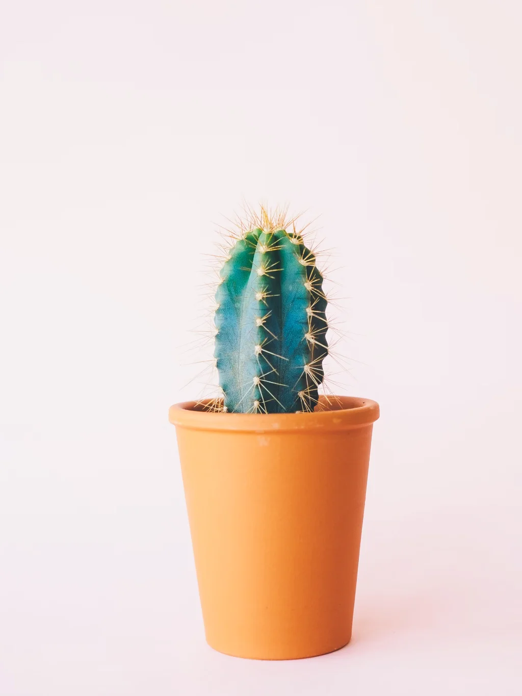 مشروع منصة تجارة إلكترونية